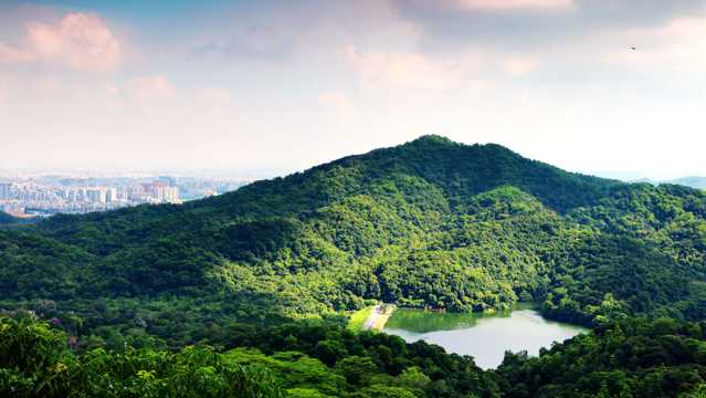 盛夏广州云海山自然风光图片