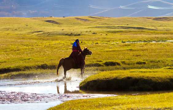 内蒙古自治区乌兰布统秋天景物图片