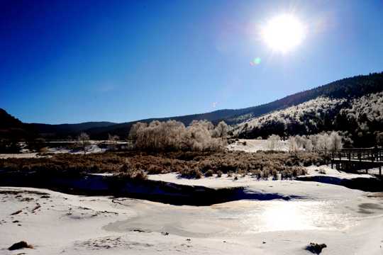 蓝天霞光树木雪地景致图片
