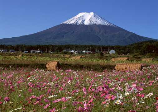 日本富士山春季景象图片