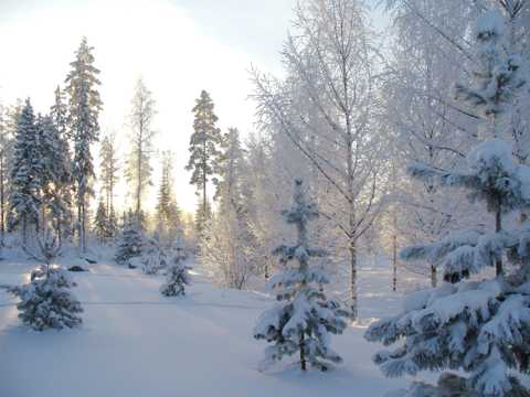 雪天高清自然景物图