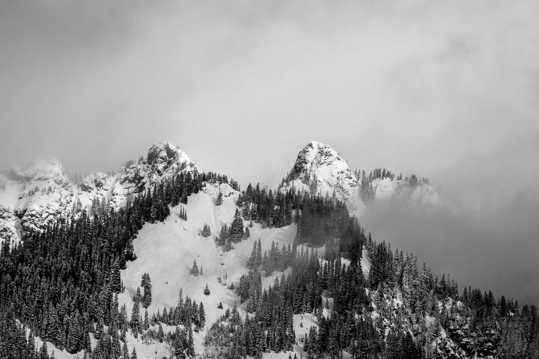 冬日高地雪山树木图片