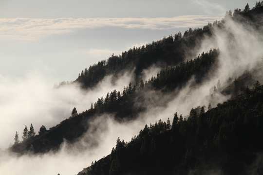 云雾缭绕的图片