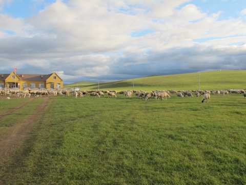 内蒙古呼伦贝尔大草坪奇丽自然风光图片