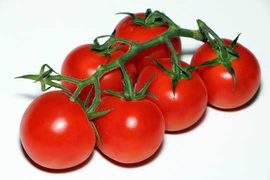 红色番茄水果图片