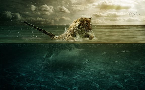 在海洋里的老虎