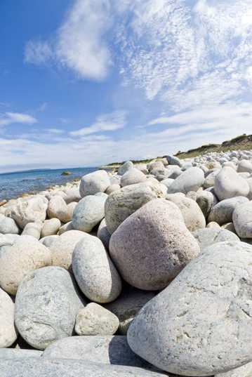 高清海滨石头图片