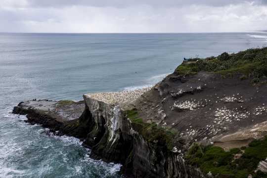 新西兰鸟岛景物图片