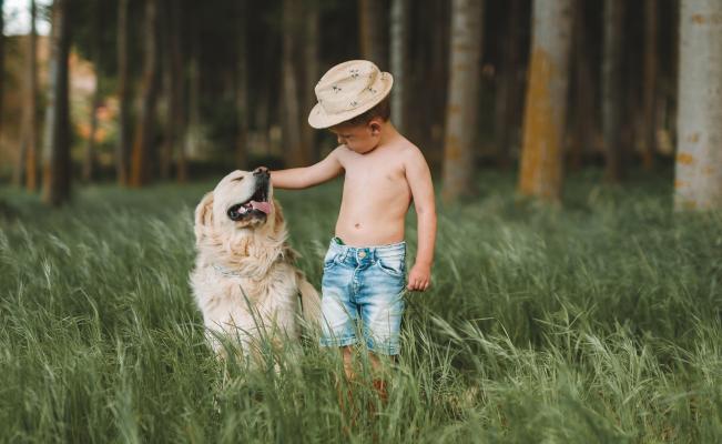 男孩和小狗在草地上快乐玩耍